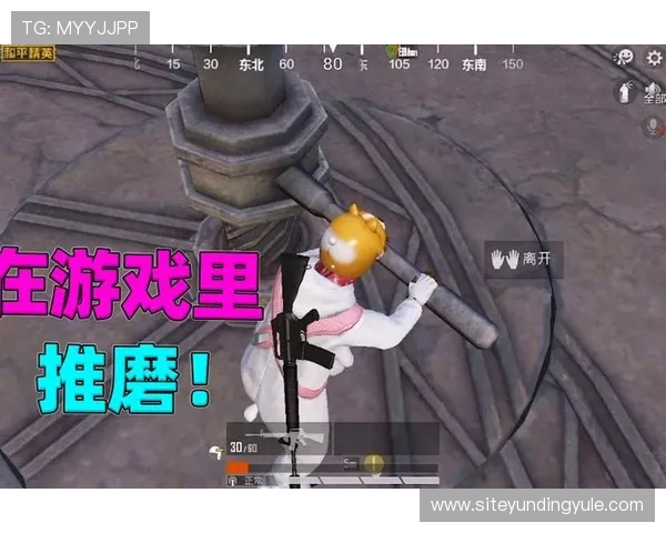 4008云顶游戏官网游戏攻略与技巧分享帮助新手快速上手掌握核心玩法