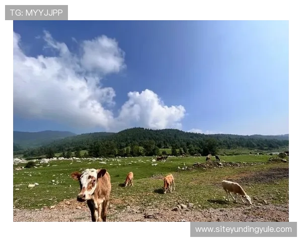 云顶山在哪儿 详解云顶山的地理位置及其在本地区的重要性