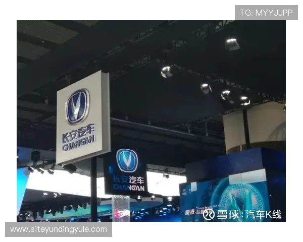 云顶集团简介：全球化布局与国际合作项目的最新发展动态