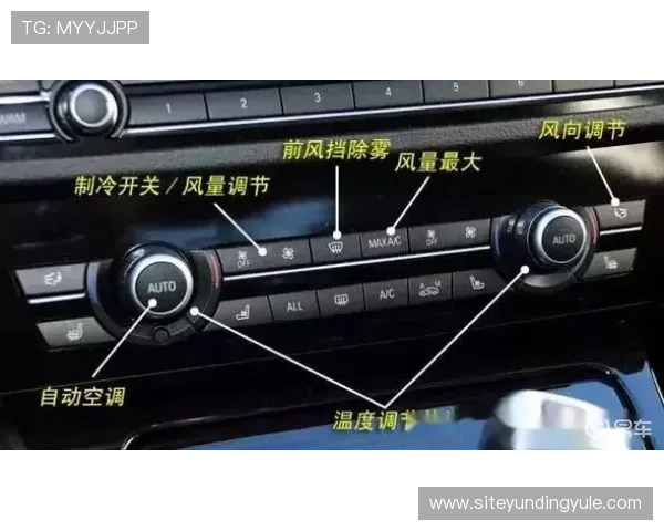 新手必看赌大小怎么玩才能快速上手实用指南